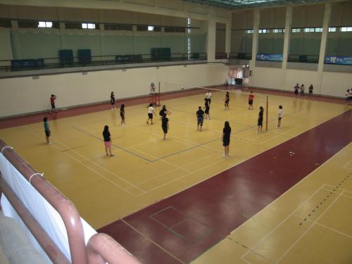 室內球場木地板廠家