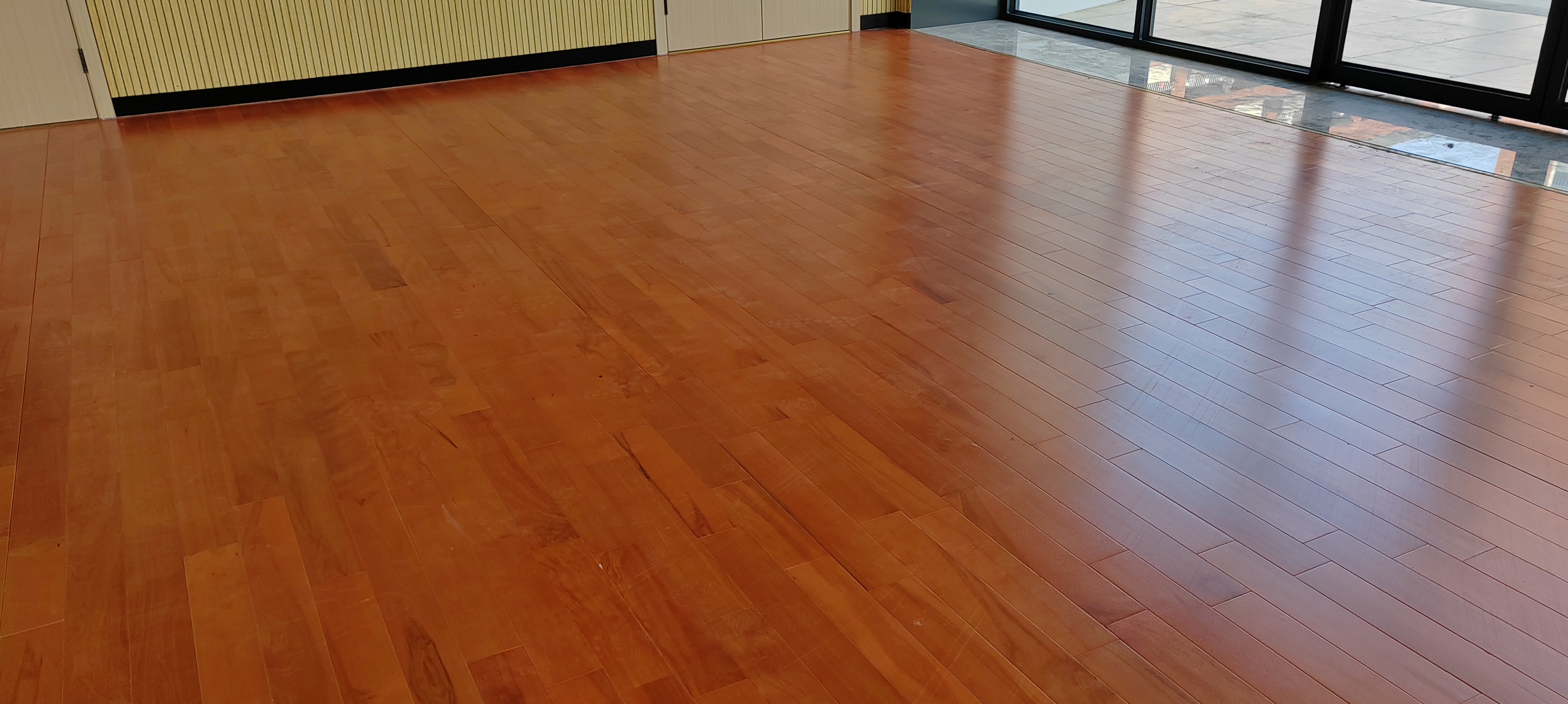 IMG_20231212_142356 IMG_20231212_142356